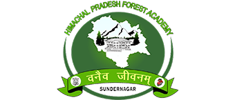 HP Forest Academy